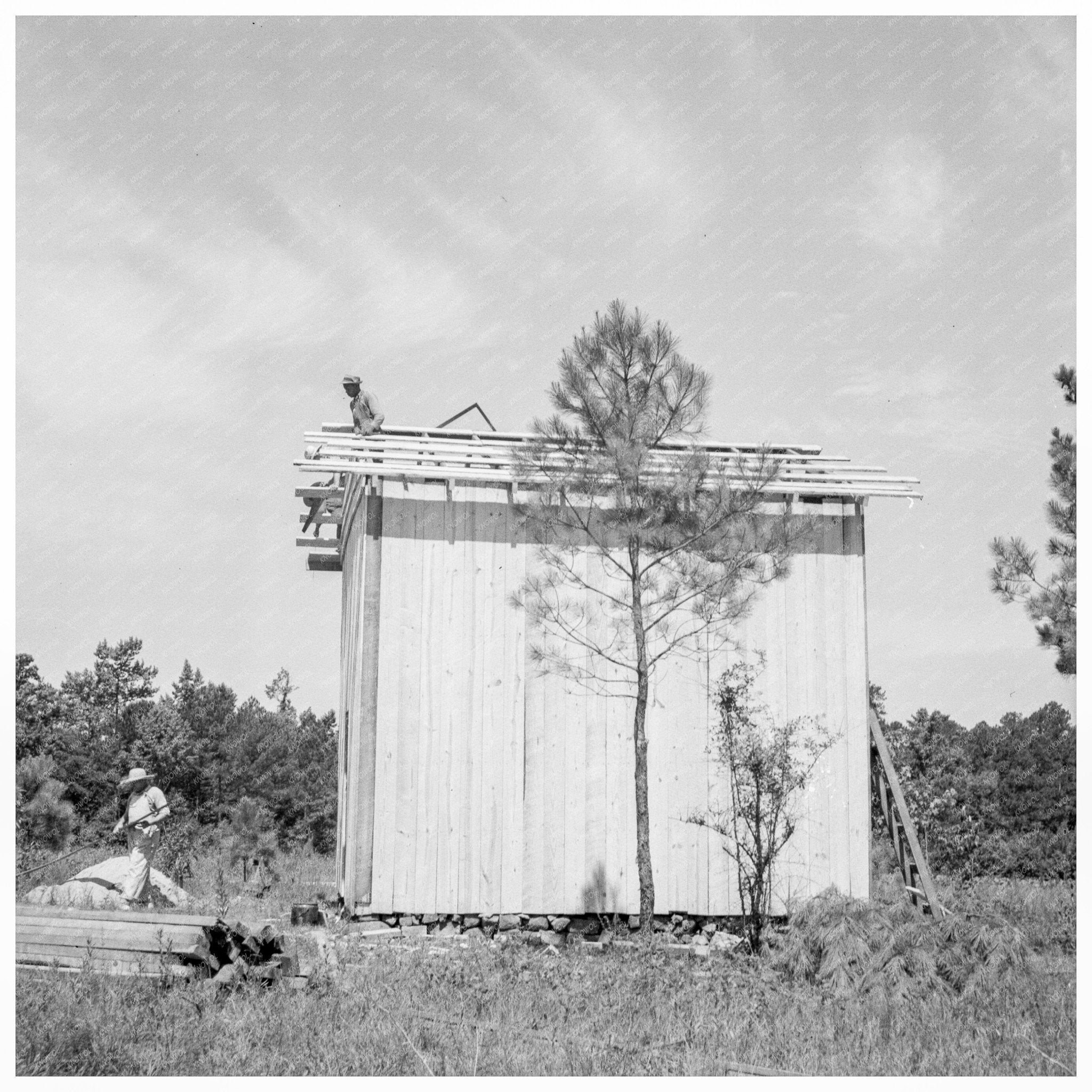 1939 Construction of Plank Tobacco Barn in North Carolina - Available at KNOWOL