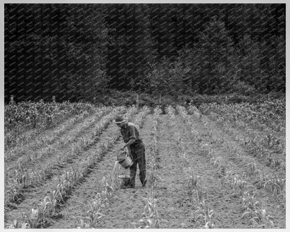 1939 Family Hand Irrigating Small Farm in Washington - Available at KNOWOL