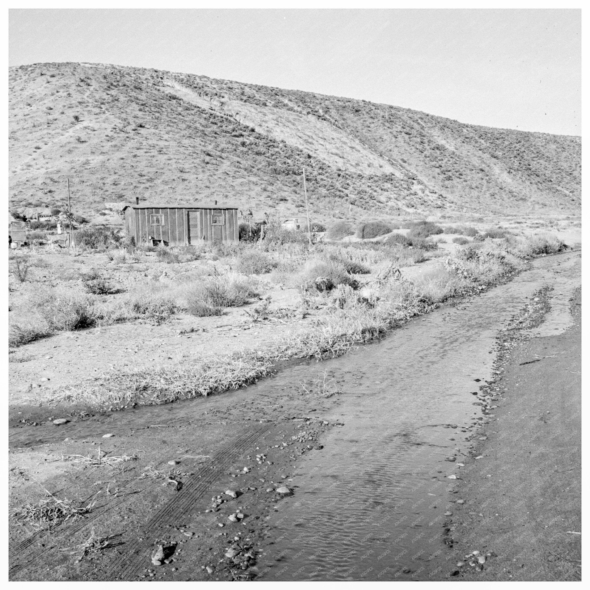 1939 Family in Shack Dead Ox Flat Oregon Farm Struggles - Available at KNOWOL