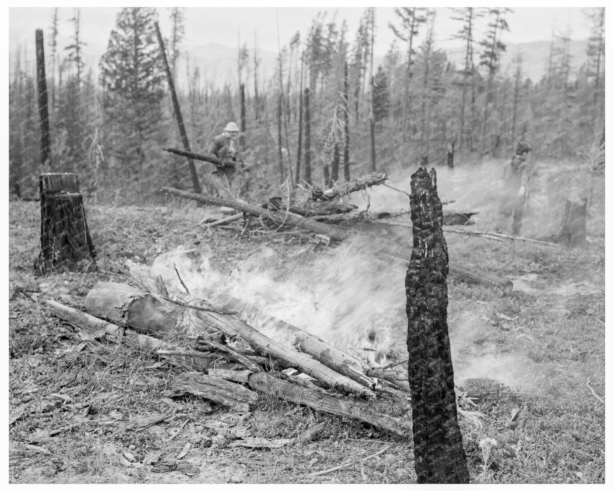 1939 Family Land - Clearing with Controlled Burning Idaho - Available at KNOWOL