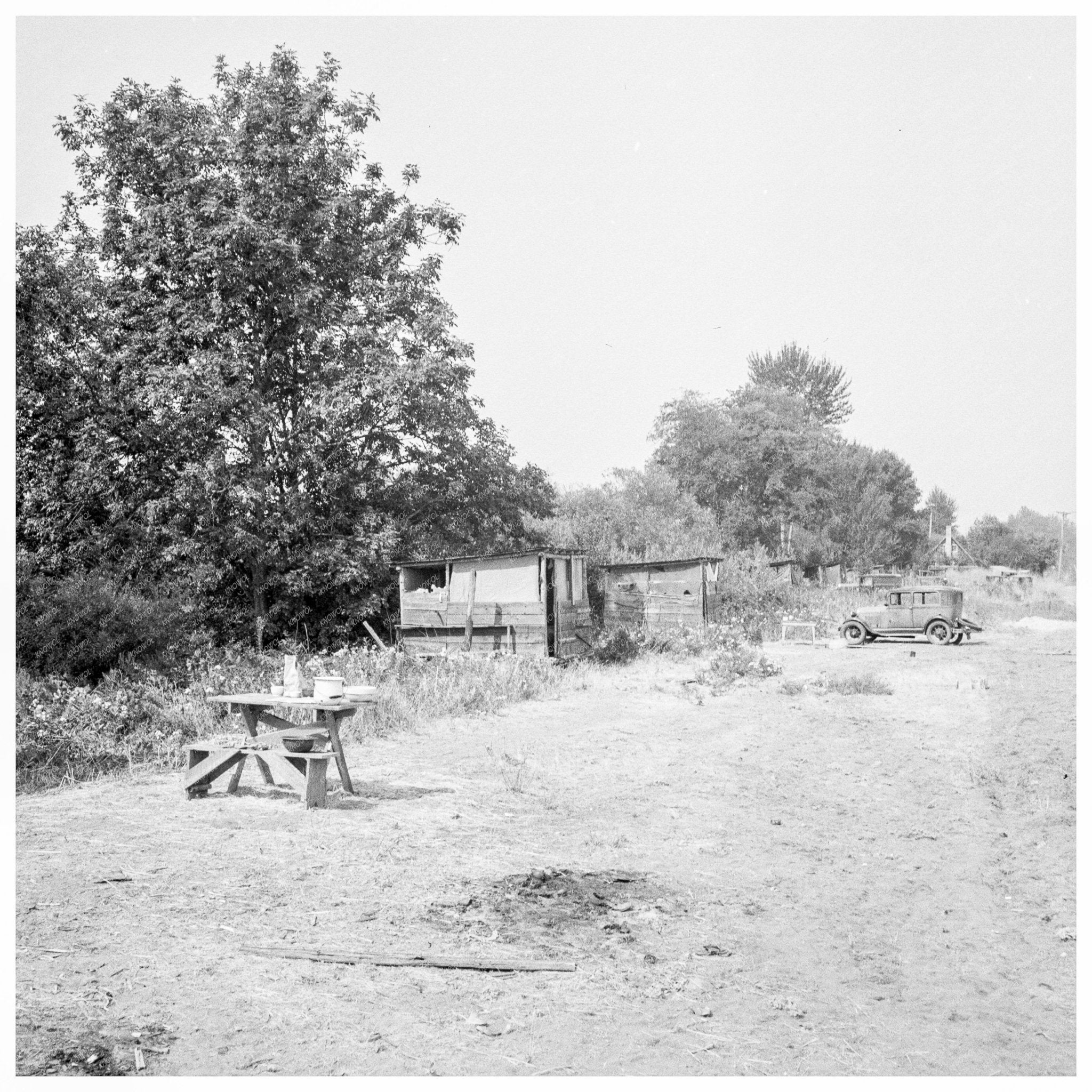 1939 Hop Picker Shelters in Josephine County Oregon - Available at KNOWOL