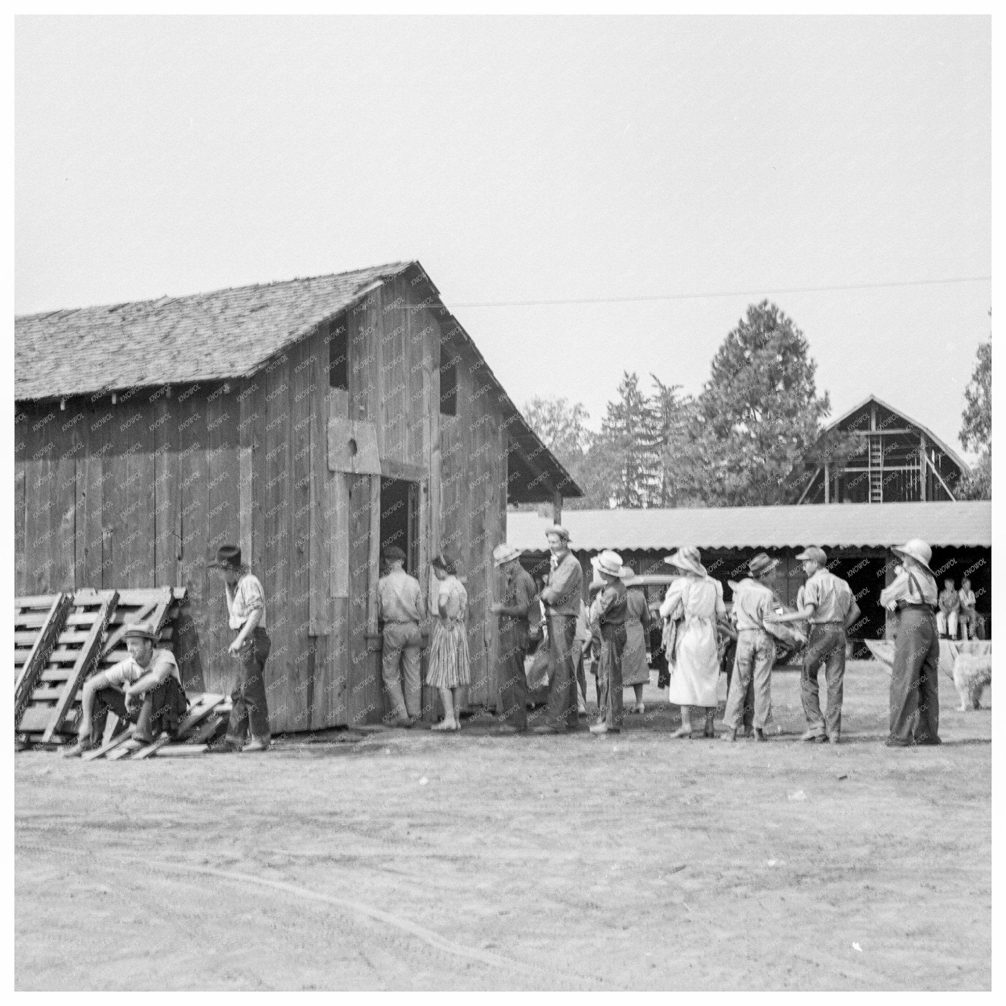 1939 Hop Pickers Receiving Wages in Oregon - Available at KNOWOL