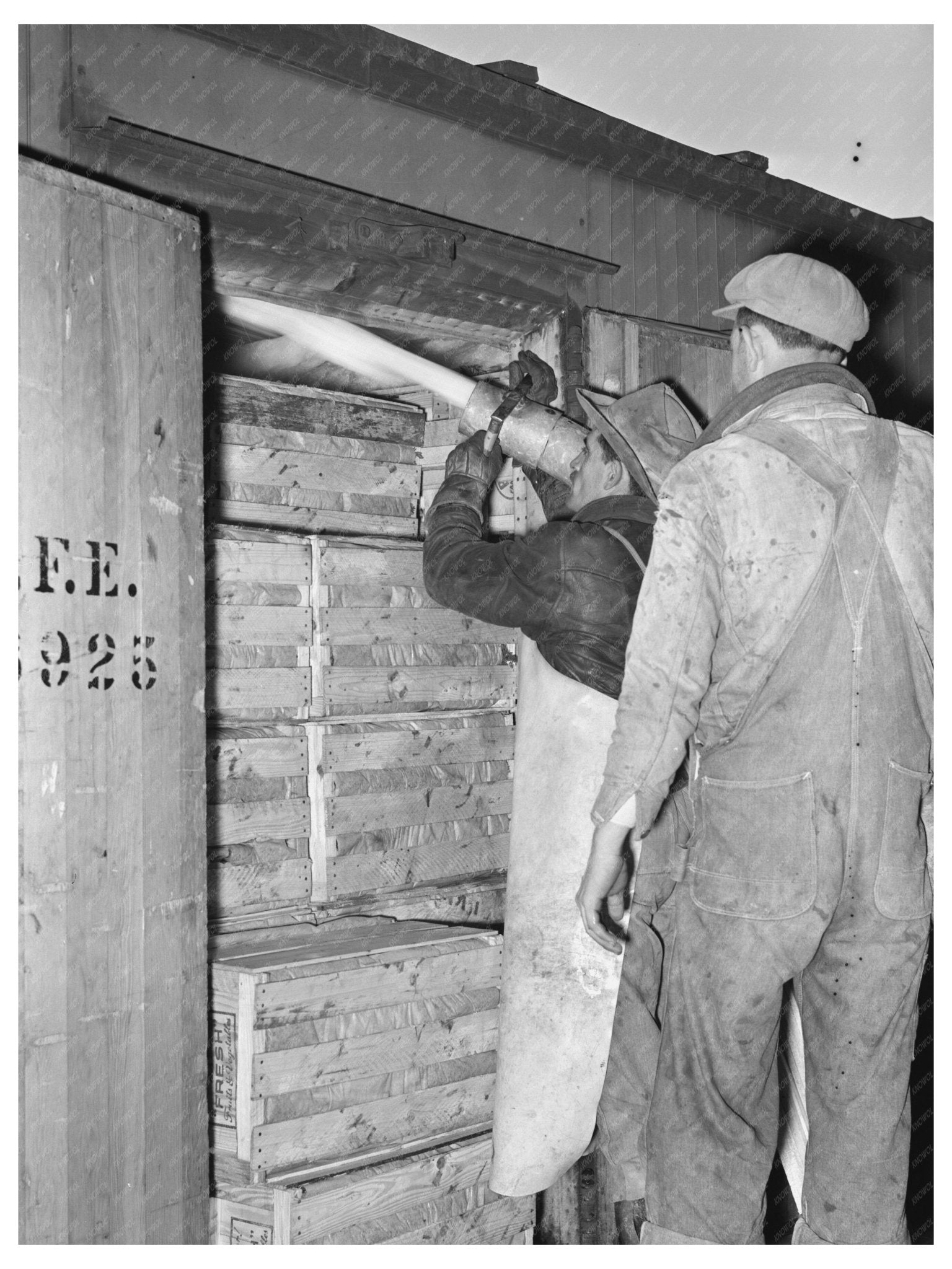 1939 Icing Car of Vegetables at Texas Packing Plant - Available at KNOWOL