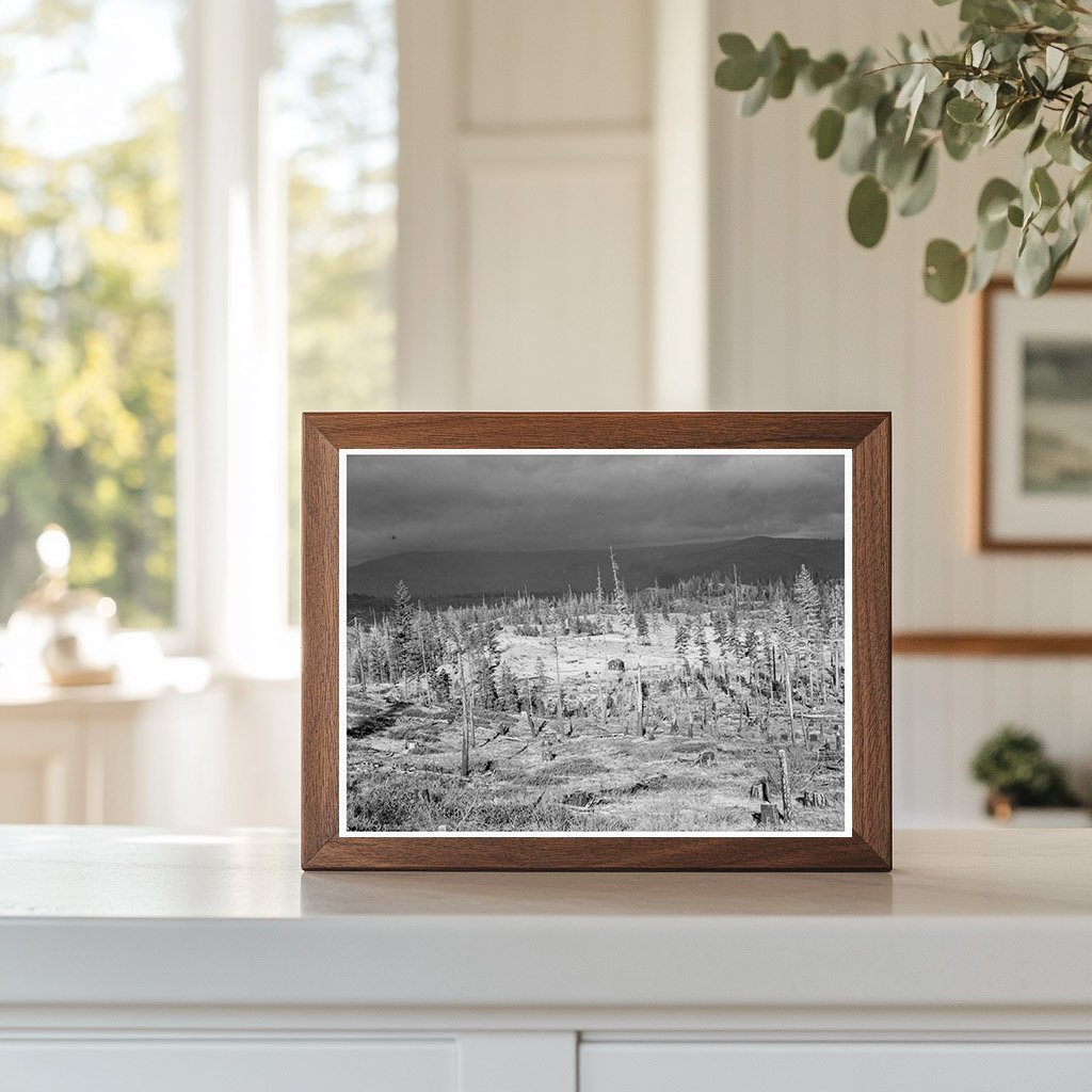 1939 Idaho Settlers Shack in Cut - Over Landscape - Available at KNOWOL