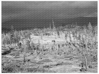 1939 Idaho Settlers Shack in Cut - Over Landscape - Available at KNOWOL