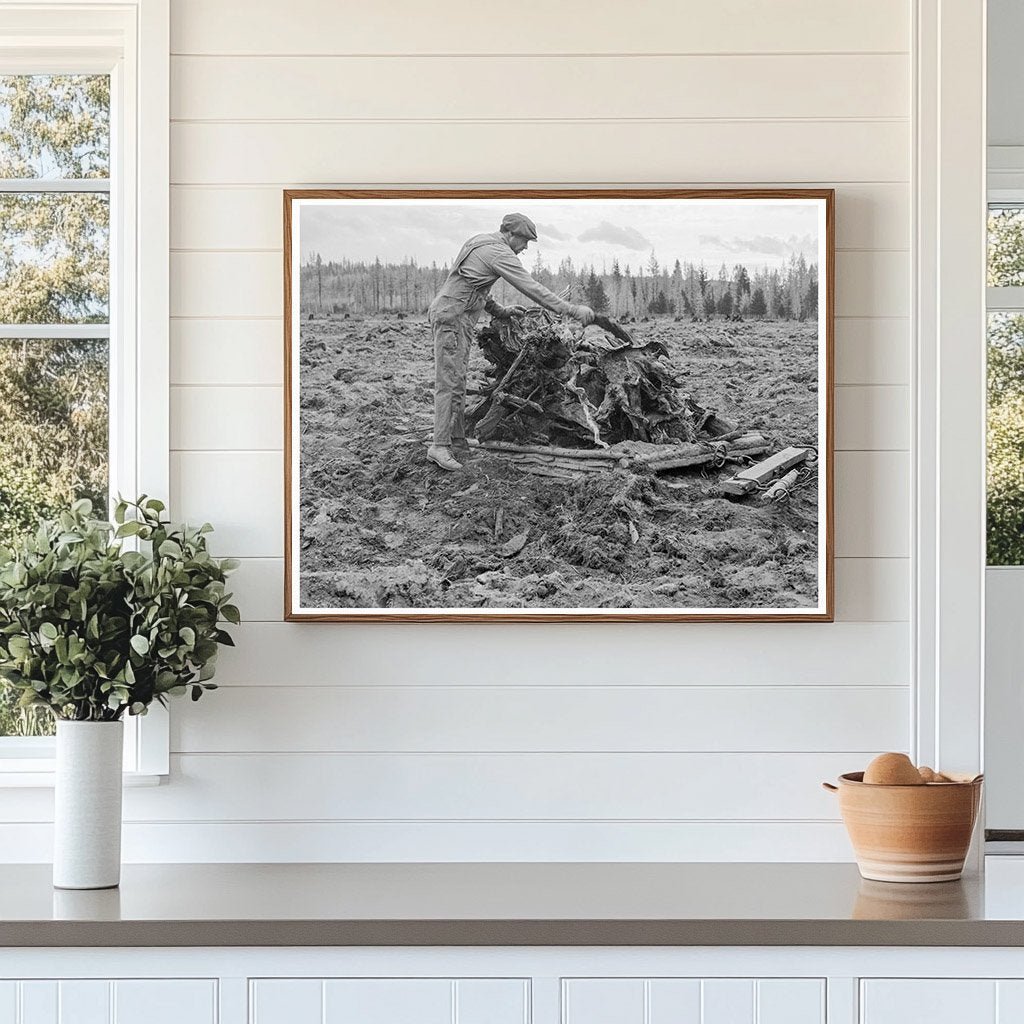 1939 Lumber Mill Worker Clearing Field in Idaho - Available at KNOWOL