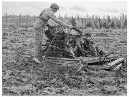 1939 Lumber Mill Worker Clearing Field in Idaho - Available at KNOWOL