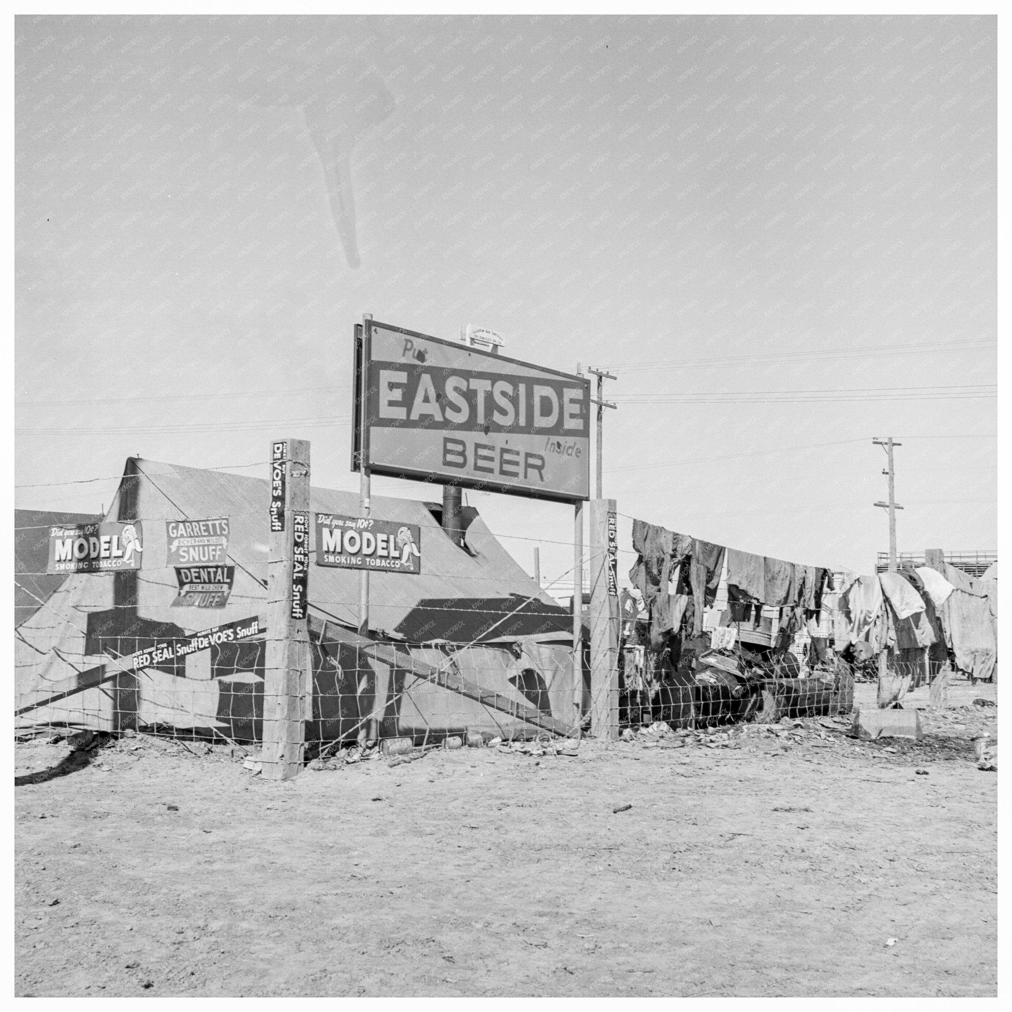 1939 Migrant Laborers Auto Camp in Calipatria California - Available at KNOWOL