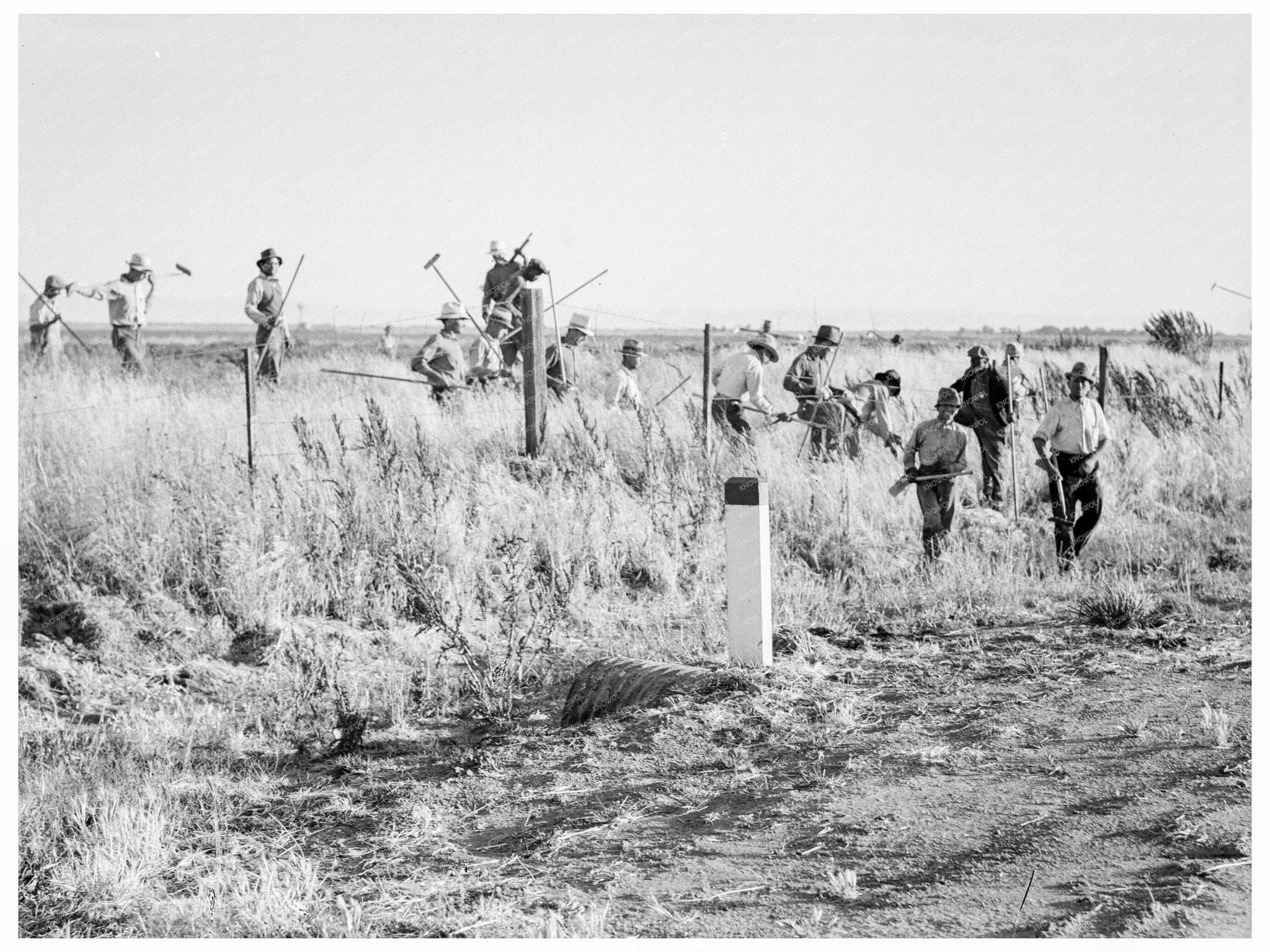 1939 Migratory Agricultural Workers in Merced County California - Available at KNOWOL