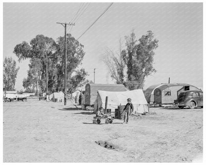 1939 Migratory Labor Camp Holtville California Carrot Harvest - Available at KNOWOL