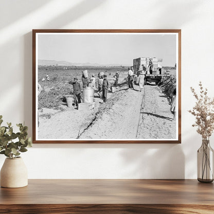 1939 Pea Pickers Working at Sinclair Ranch California - Available at KNOWOL