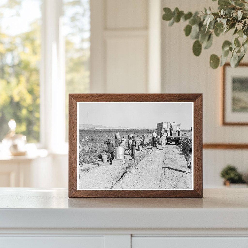 1939 Pea Pickers Working at Sinclair Ranch California - Available at KNOWOL