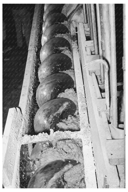 1939 Screw Conveyor Transporting Grapefruit Pulp Texas - Available at KNOWOL