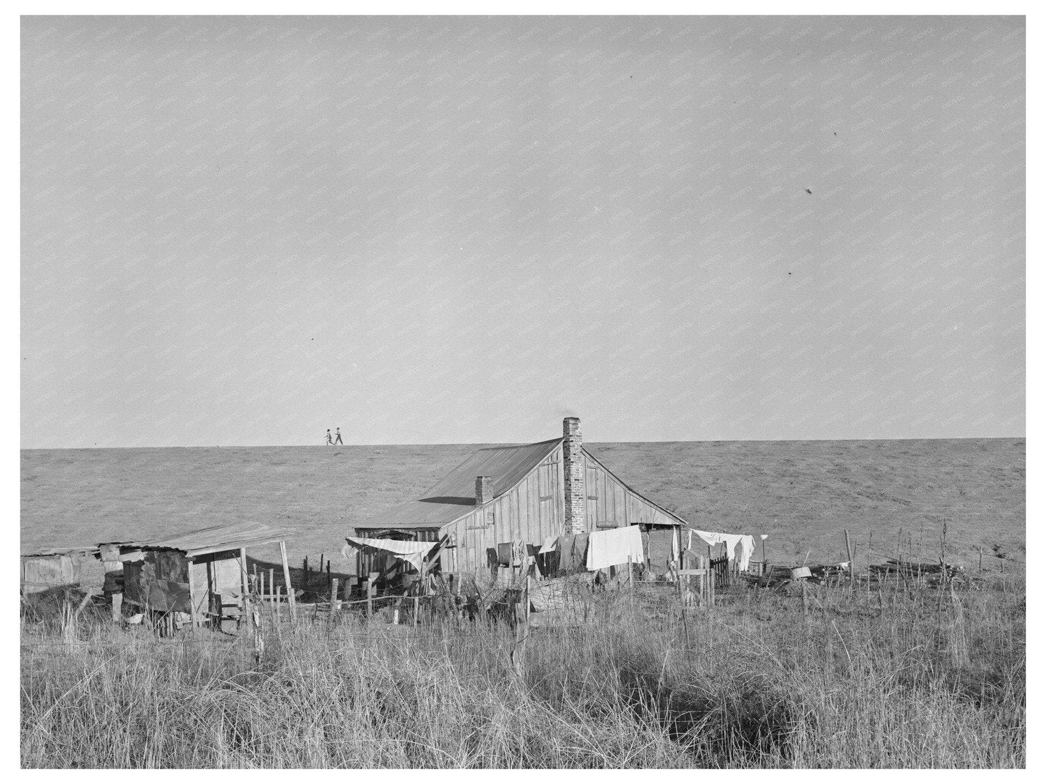 1939 Sharecropper Farmstead Near Lake Providence Louisiana - Available at KNOWOL