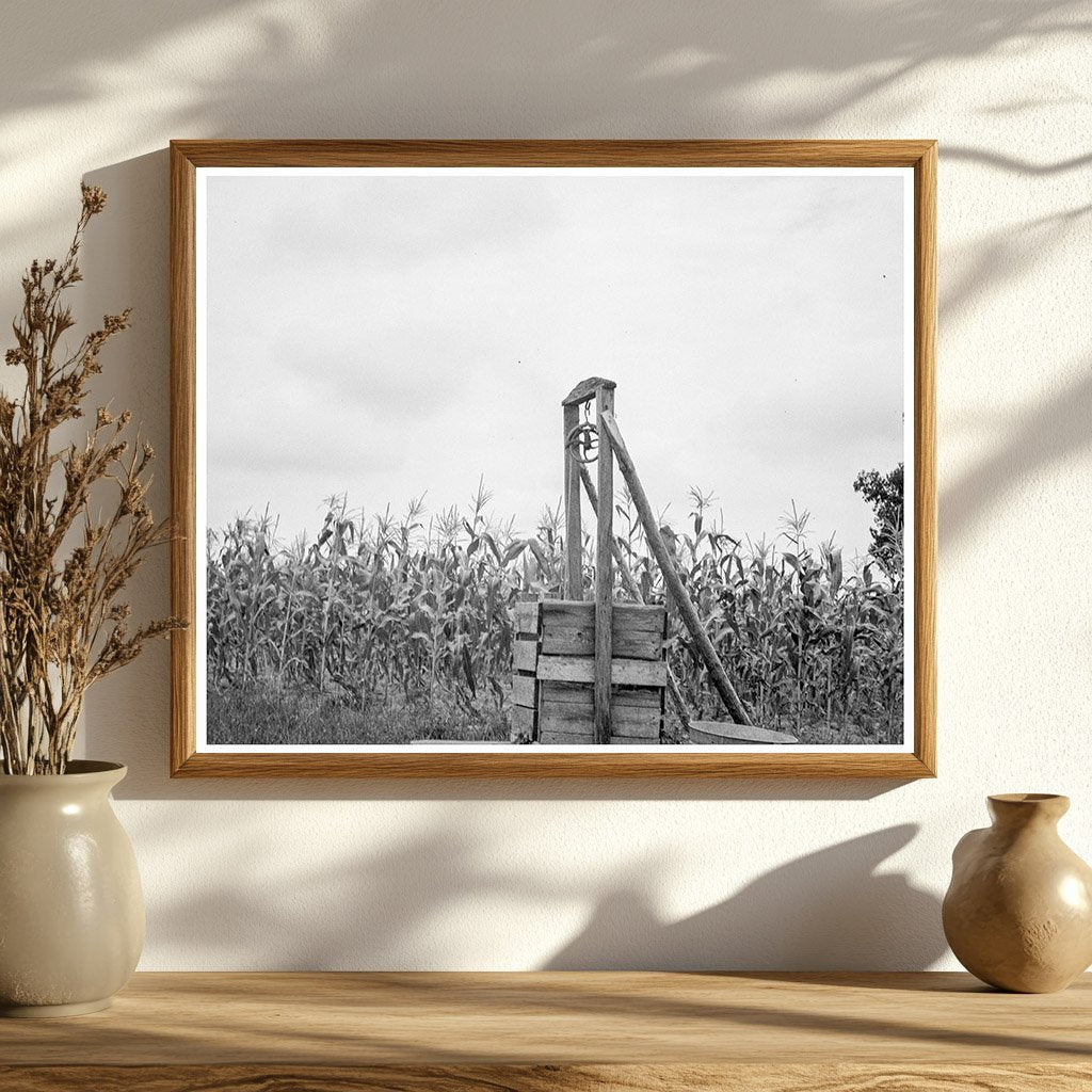 1939 Sharecroppers Tobacco Farm North Carolina Life - Available at KNOWOL