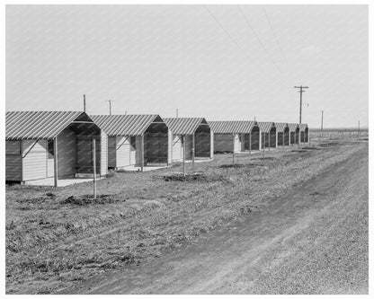 1939 Steel Shelters at Migrant Workers Camp in Westley CA - Available at KNOWOL