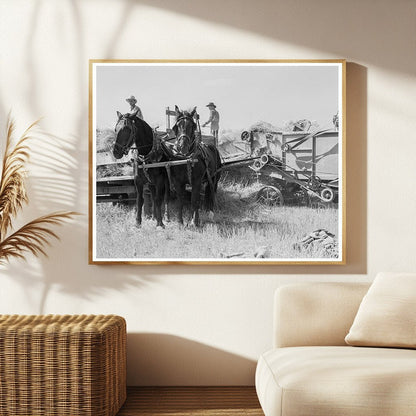 1939 Threshing Scene Klamath County Oregon Agriculture - Available at KNOWOL