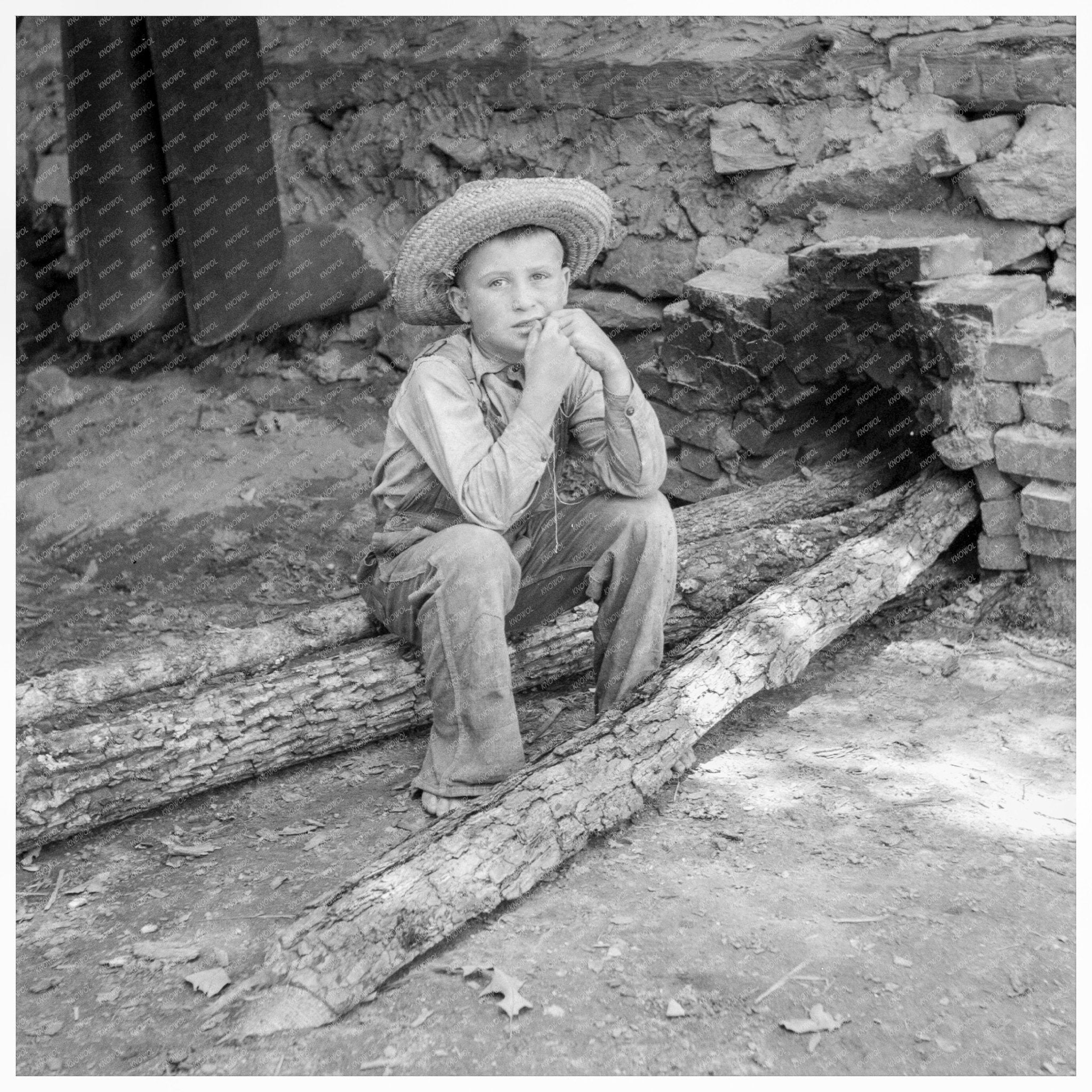 1939 Tobacco Harvest by Young Sharecroppers in NC - Available at KNOWOL