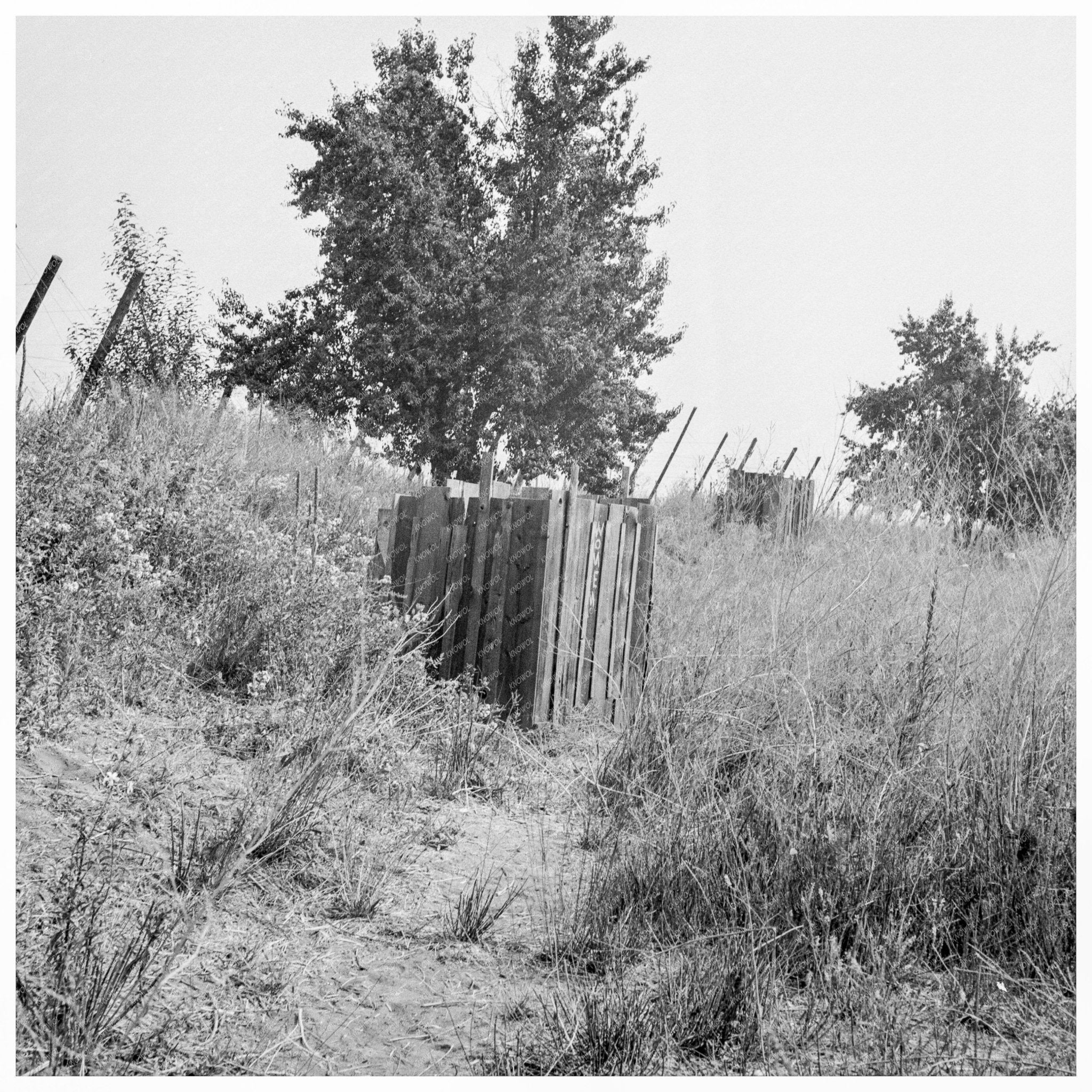 1939 Toilets for Hop Pickers at Oregon Growers Camp - Available at KNOWOL