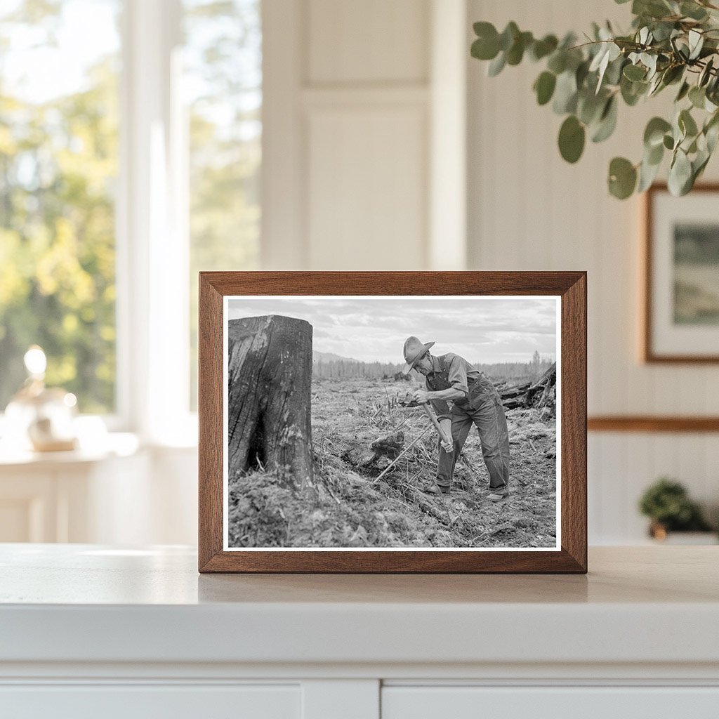 1939 Tomarack Stump Extraction in Bonner County Idaho - Available at KNOWOL