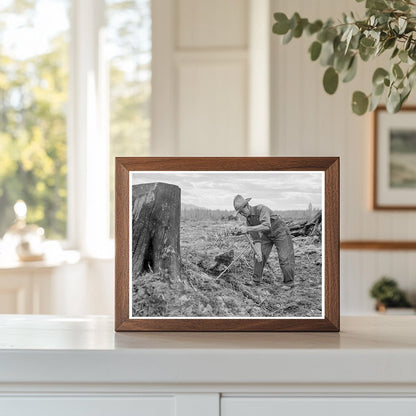 1939 Tomarack Stump Extraction in Bonner County Idaho - Available at KNOWOL