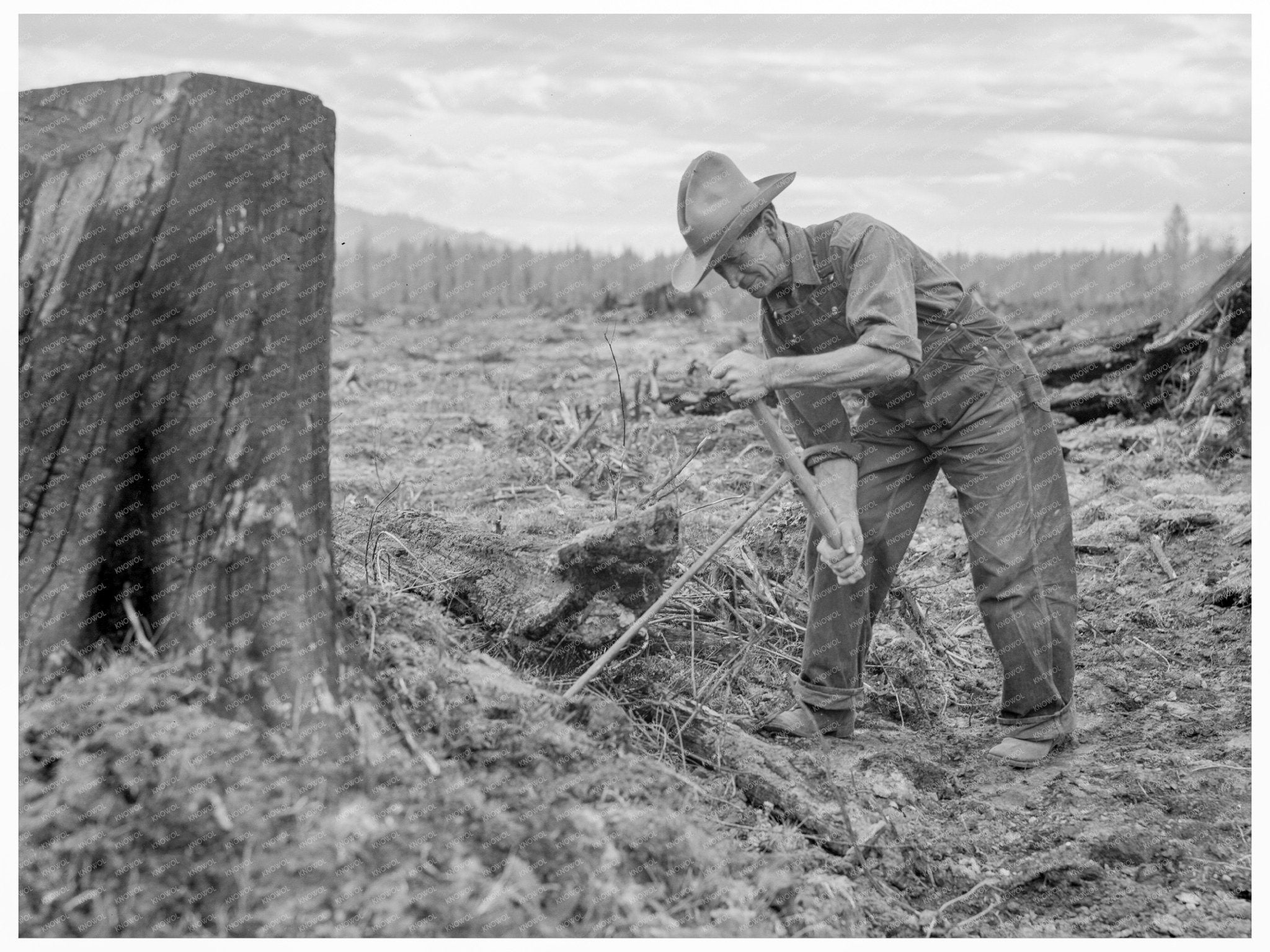 1939 Tomarack Stump Extraction in Bonner County Idaho - Available at KNOWOL