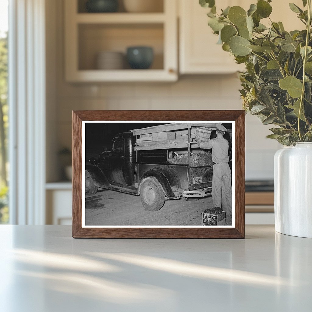 1939 Truck Driver Loading Vegetables in San Angelo Texas - Available at KNOWOL