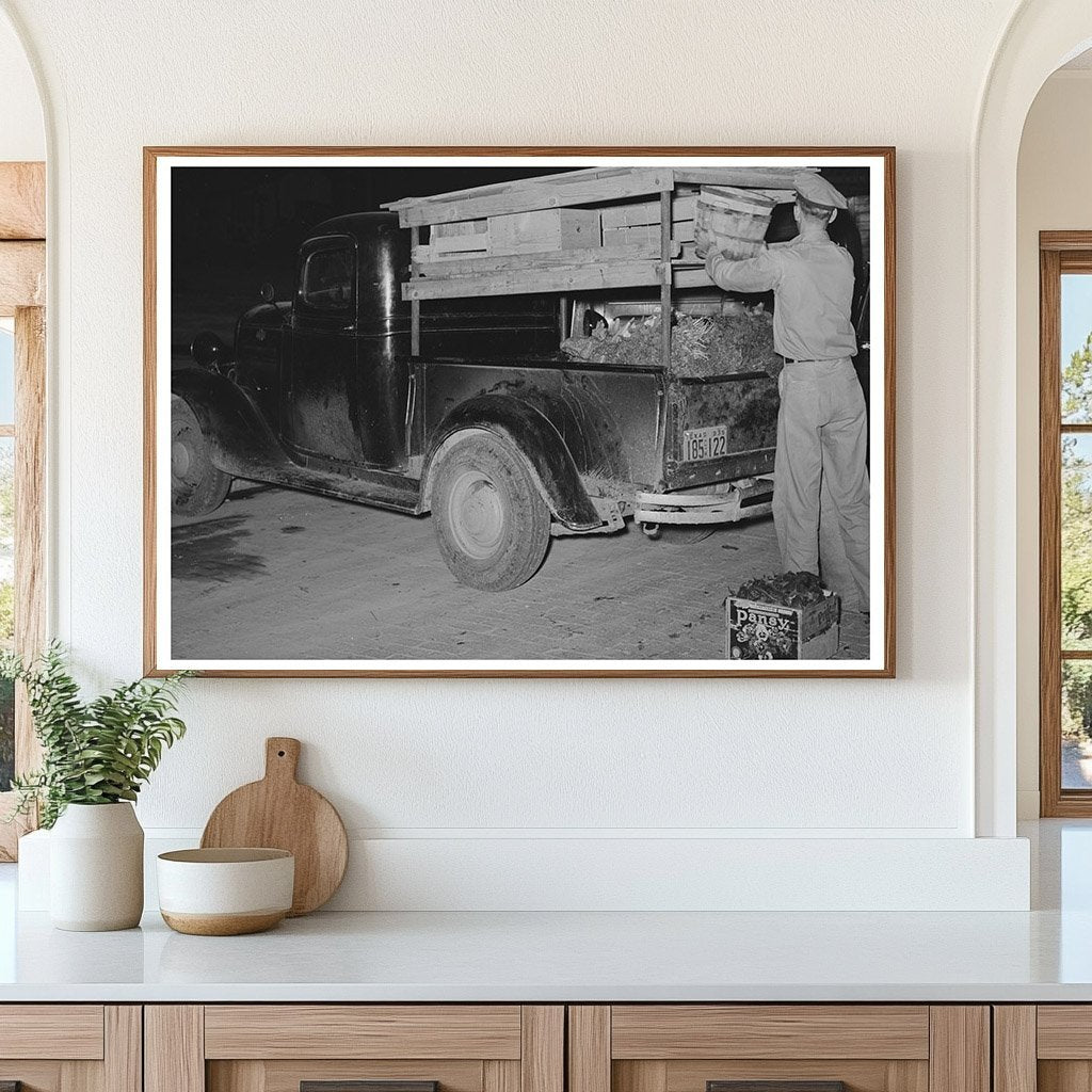 1939 Truck Driver Loading Vegetables in San Angelo Texas - Available at KNOWOL