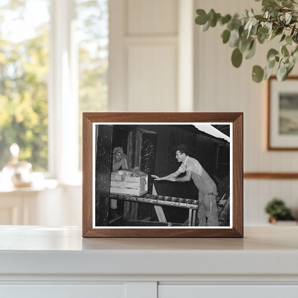 1939 Vegetable Packing Plant Scene in Elsa Texas - Available at KNOWOL