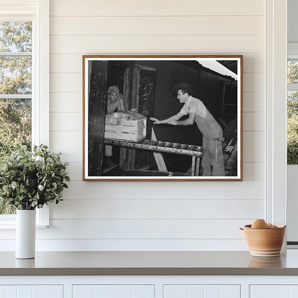 1939 Vegetable Packing Plant Scene in Elsa Texas - Available at KNOWOL