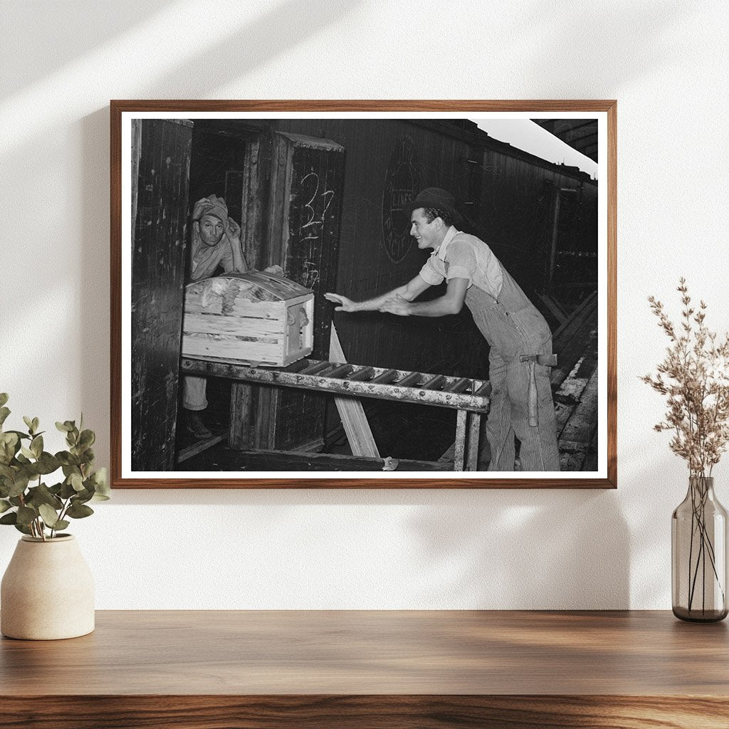 1939 Vegetable Packing Plant Scene in Elsa Texas - Available at KNOWOL