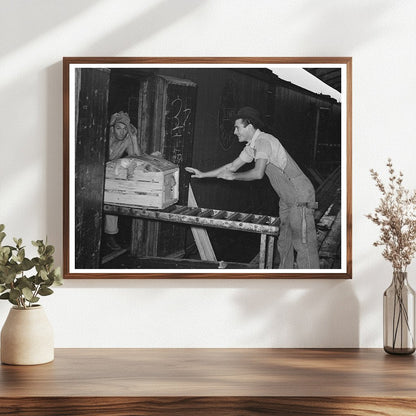 1939 Vegetable Packing Plant Scene in Elsa Texas - Available at KNOWOL