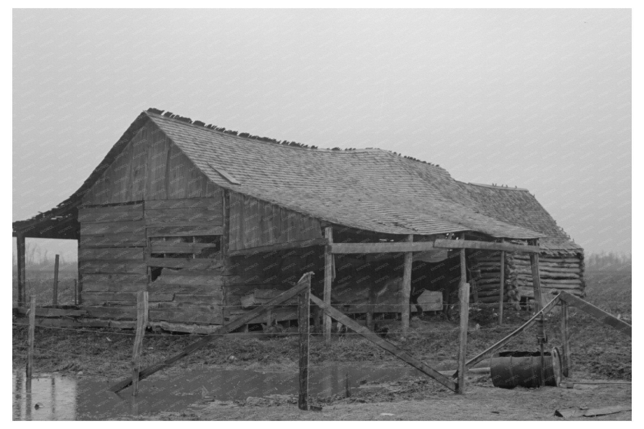 1939 Vintage Barn Sharecropper Pace Mississippi Photo - Available at KNOWOL