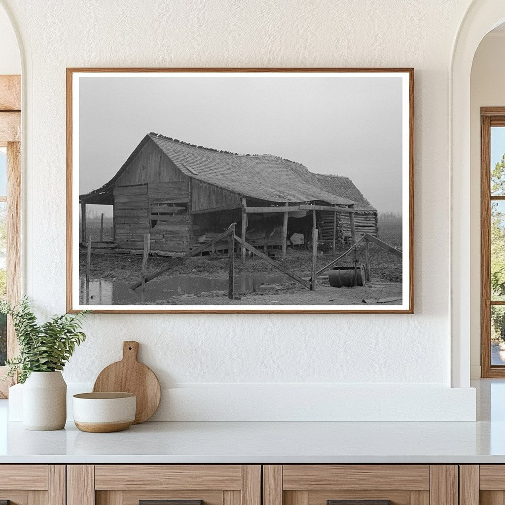 1939 Vintage Barn Sharecropper Pace Mississippi Photo - Available at KNOWOL