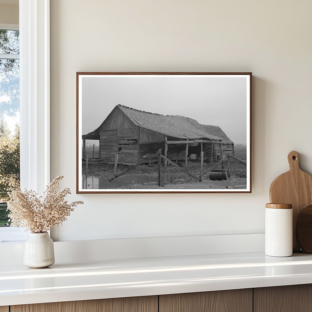 1939 Vintage Barn Sharecropper Pace Mississippi Photo - Available at KNOWOL