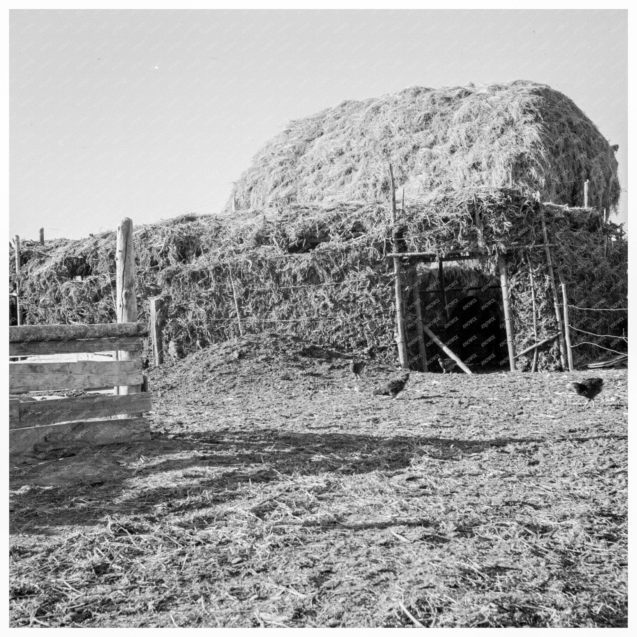 1939 Vintage Barn with Sagebrush Thatching in Oregon - Available at KNOWOL