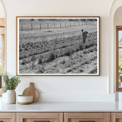 1939 Vintage Farm Security Administration Garden Scene Texas - Available at KNOWOL