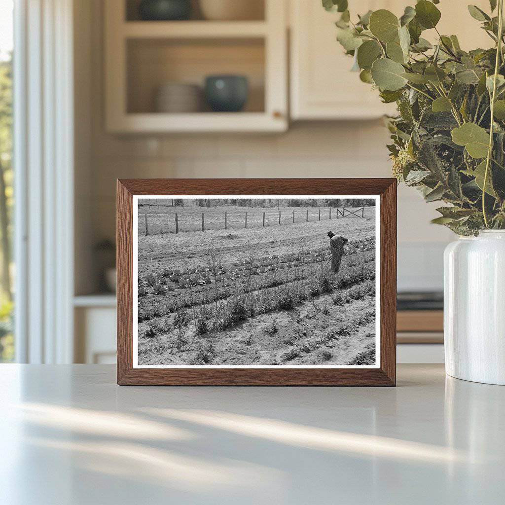 1939 Vintage Farm Security Administration Garden Scene Texas - Available at KNOWOL