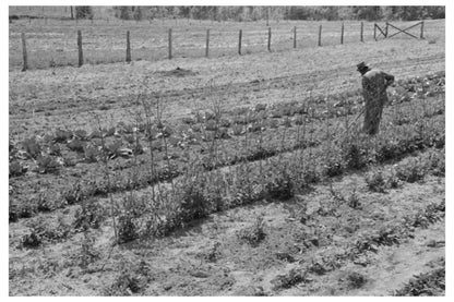 1939 Vintage Farm Security Administration Garden Scene Texas - Available at KNOWOL