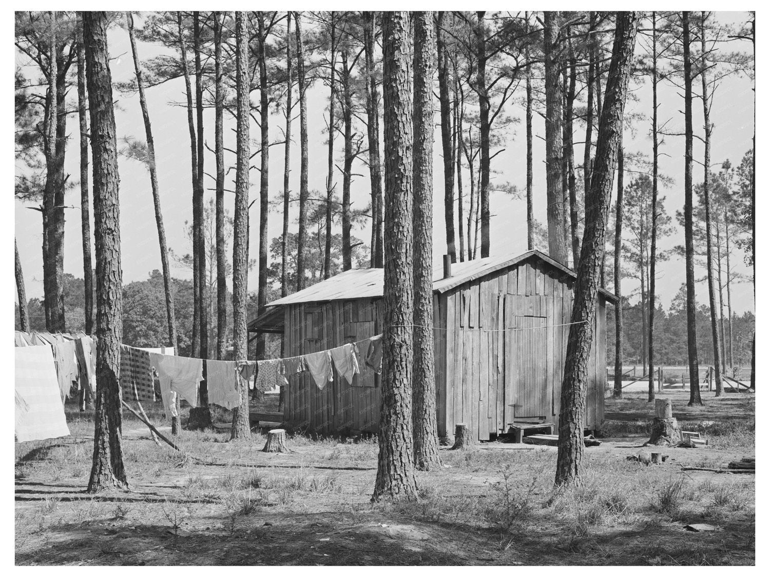1939 Vintage Houses of Strawberry Field Migrants Louisiana - Available at KNOWOL