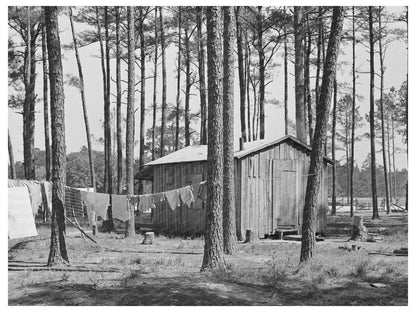 1939 Vintage Houses of Strawberry Field Migrants Louisiana - Available at KNOWOL