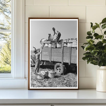 1939 Vintage Image of Spinach Loading in La Pryor Texas - Available at KNOWOL