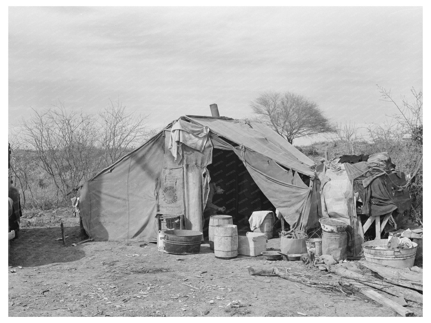 1939 Vintage Image of White Migrant Camp in Texas - Available at KNOWOL