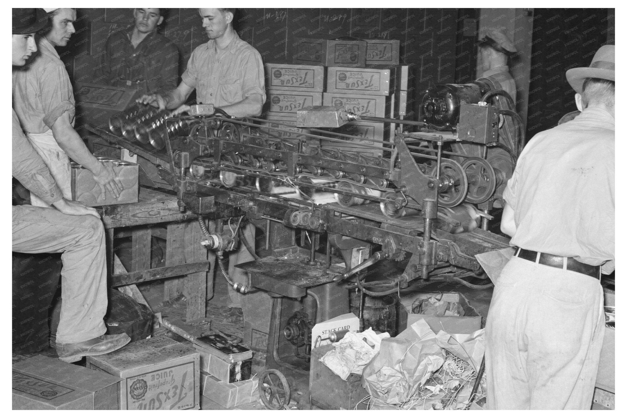 1939 Vintage Labeling Machine at Grapefruit Canning Plant - Available at KNOWOL