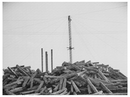1939 Vintage Logs at Lumber Mill in Laurel Mississippi - Available at KNOWOL