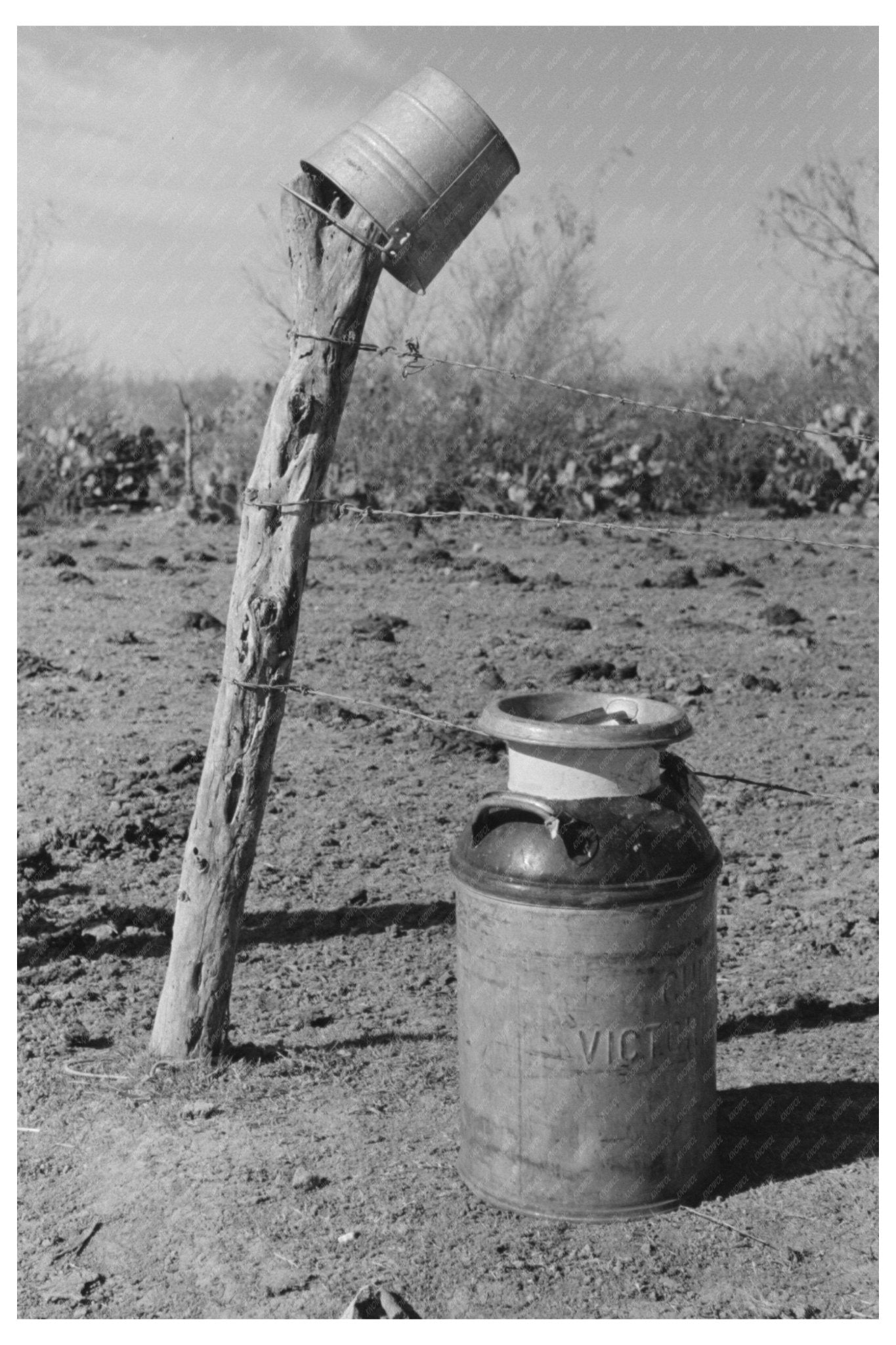 1939 Vintage Milk Can and Pail by Pickup Truck Texas - Available at KNOWOL