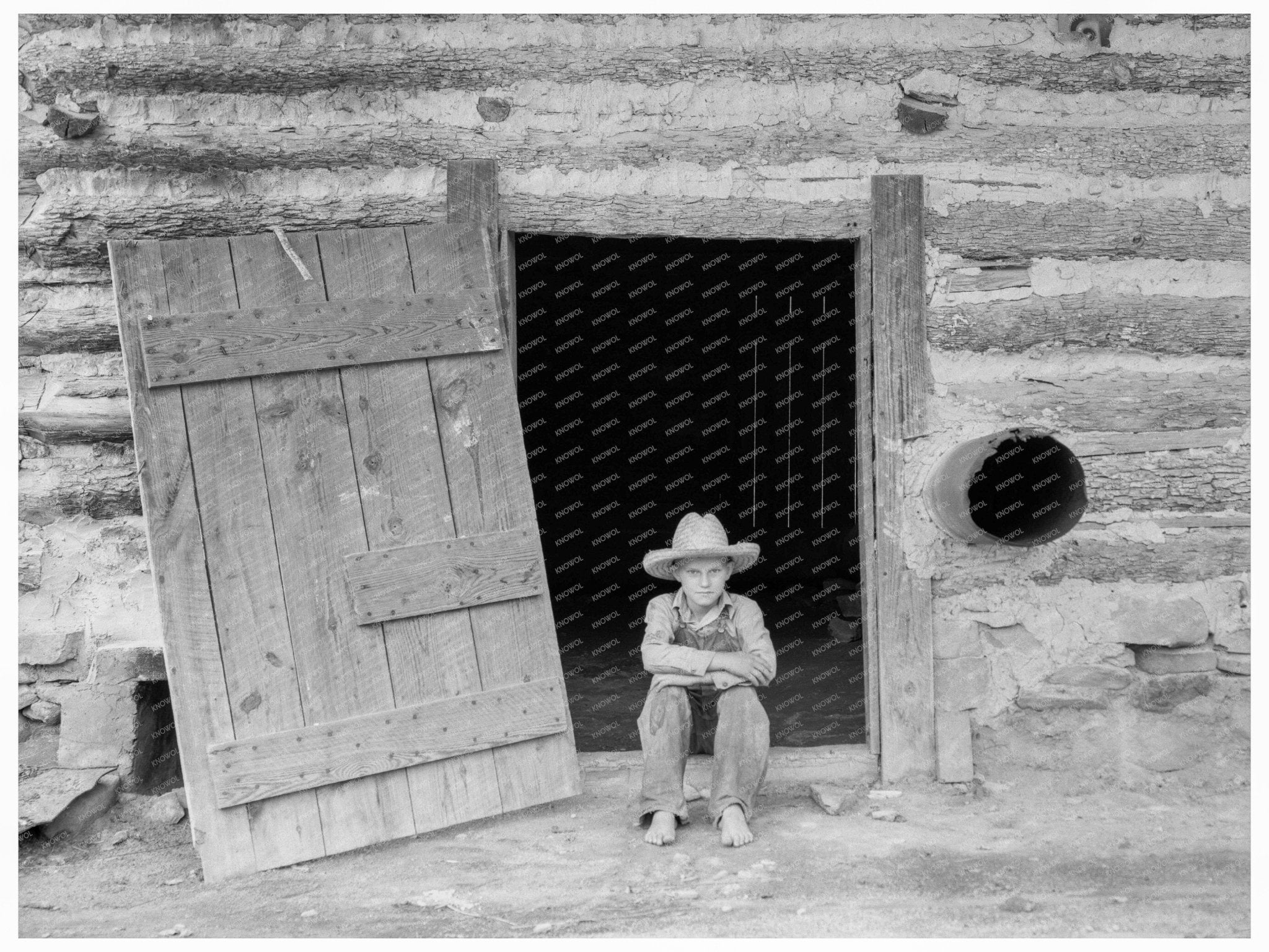 1939 Vintage Photo of Boy Tobacco Harvesting North Carolina - Available at KNOWOL