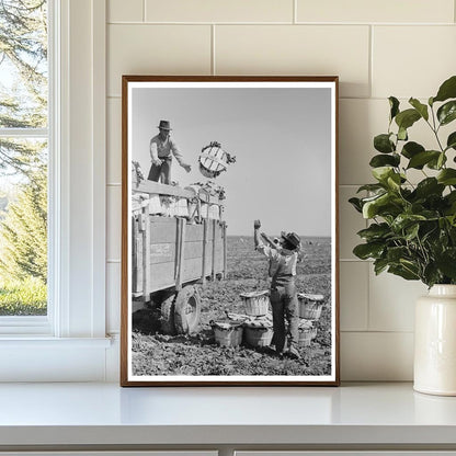 1939 Vintage Photo of Spinach Harvesting in La Pryor Texas - Available at KNOWOL