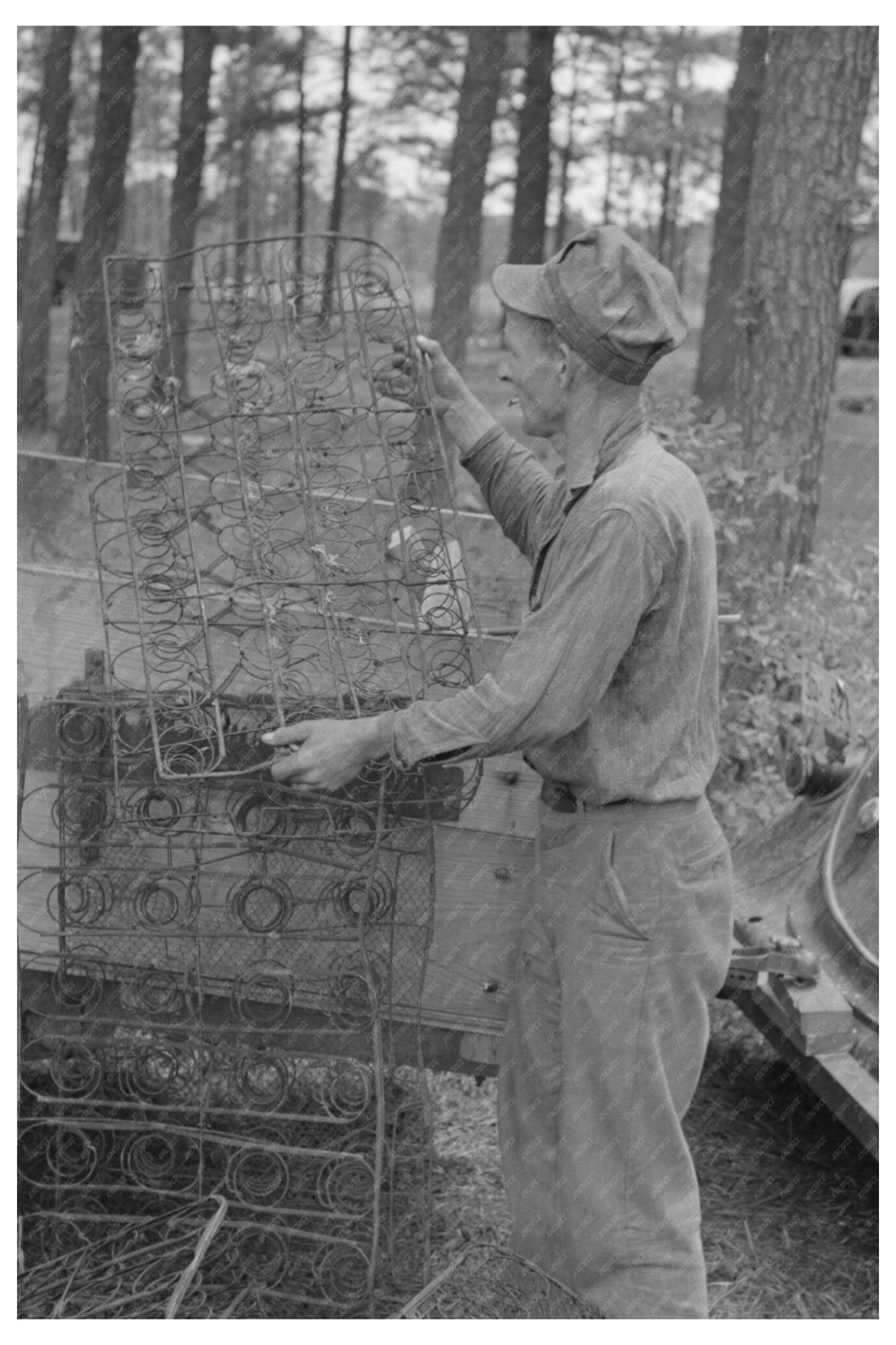 1939 Vintage Photo of Strawberry Picker in Louisiana - Available at KNOWOL