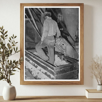 1939 Vintage Photo of Worker Packing Cotton Linters - Available at KNOWOL